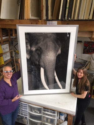 Museum Quality handcrafted welded steel and aluminum frames for photographs and paintings
